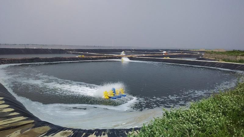 魚(yú)塘蝦池養(yǎng)殖防滲膜